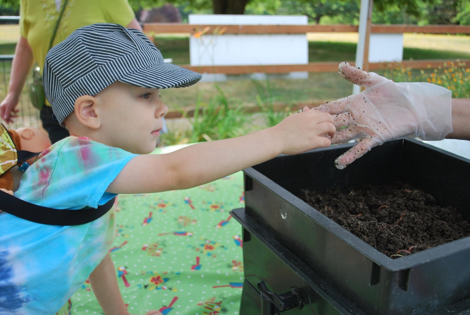 A boy inspects a worm at the summer garden program in Poulsbo, WA.