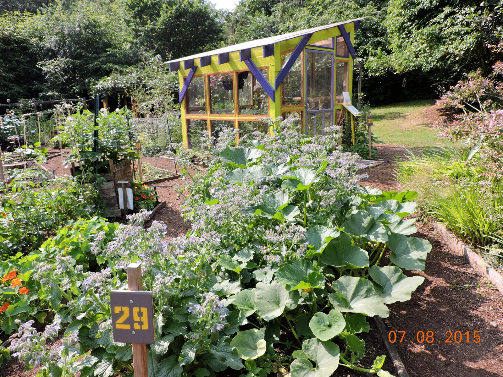 garden and butterfly house