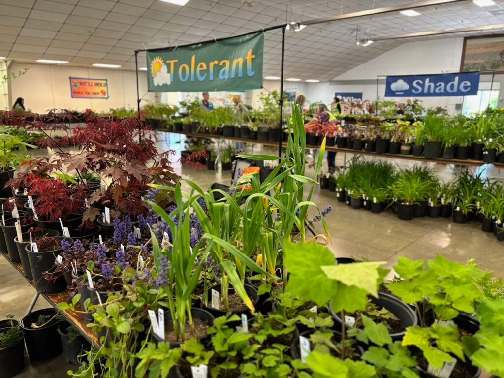 Plant sale held at Kitsap County Fairgrounds